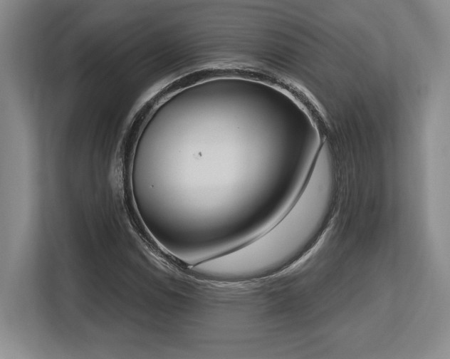 X0000113741114200909231146