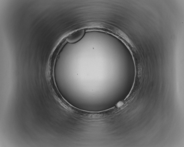 X0000113741116200909231146