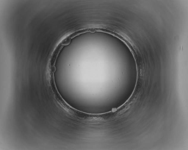 X0000113741119200909231146