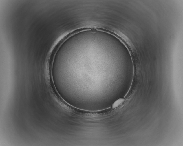 X0000113741120200909231146