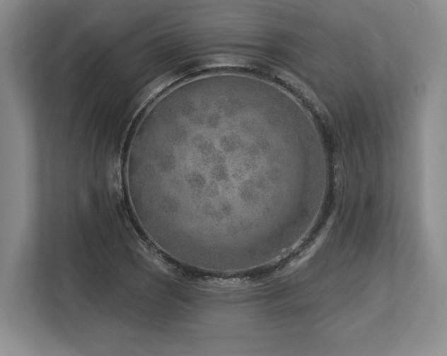 X0000113741121200909231146