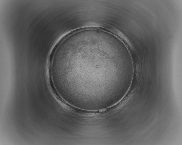X0000113741124200909231147