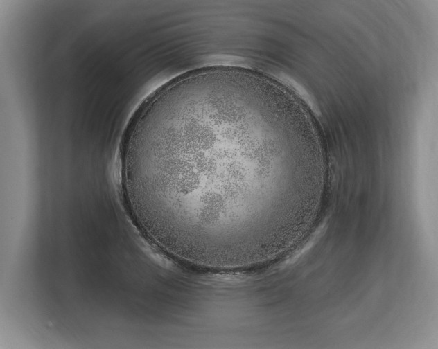 X0000113741125200909231147