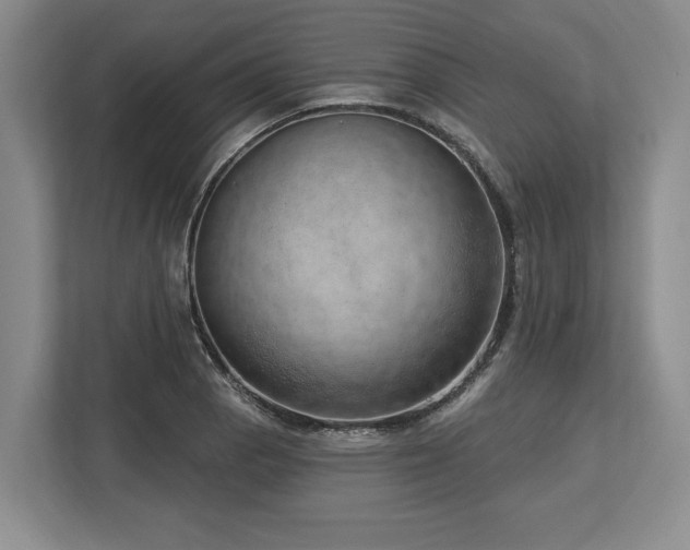 X0000113741129200909231147