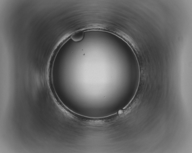 X0000113741135200909231147
