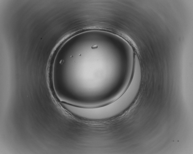 X0000113741138200909231147