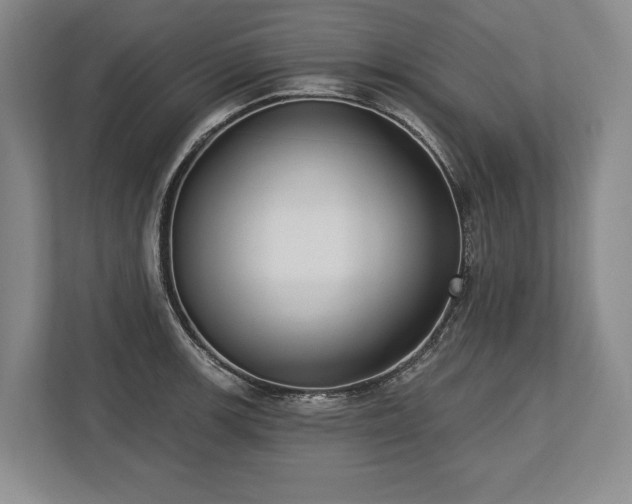 X0000113741139200909231147