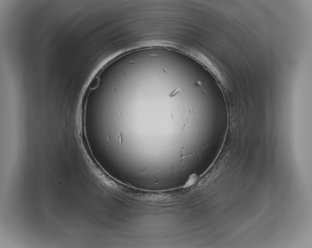 X0000113741140200909231147