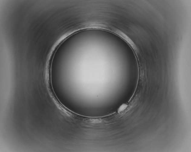 X0000113741144200909231147