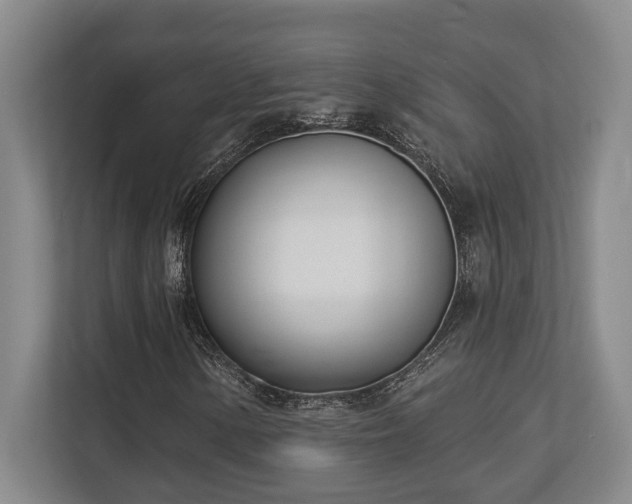 X0000113741154200909231146