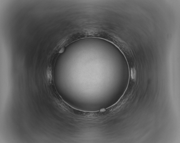 X0000113741155200909231146
