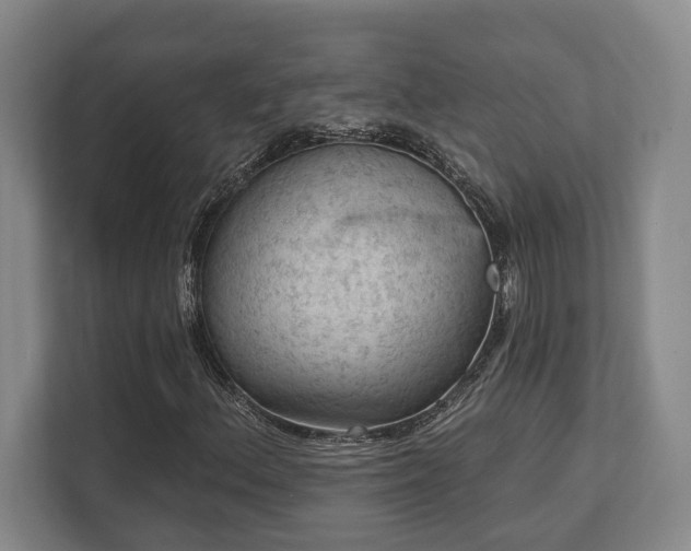 X0000113741156200909231146