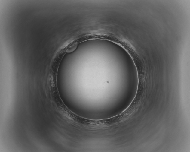 X0000113741159200909231146