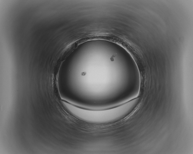 X0000113741161200909231146