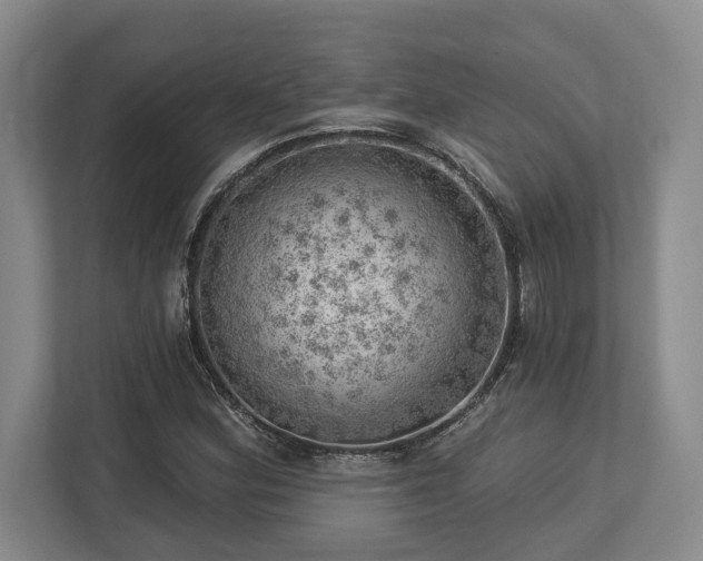 X0000113741164200909231146