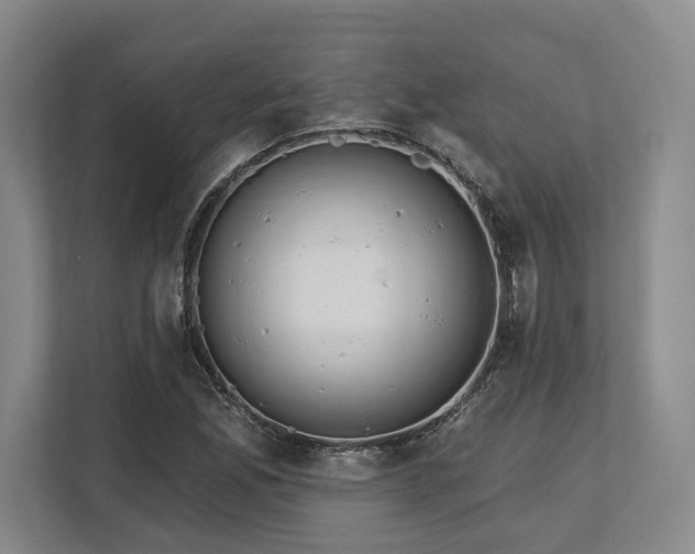 X0000113741165200909231146