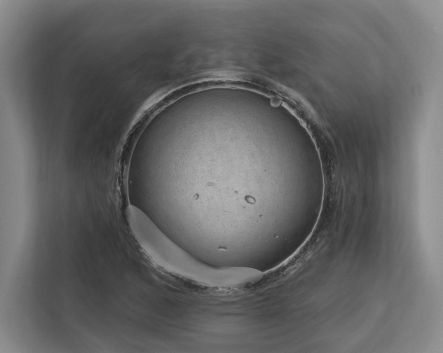 X0000113741168200909231146