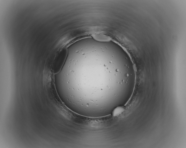 X0000113741169200909231146