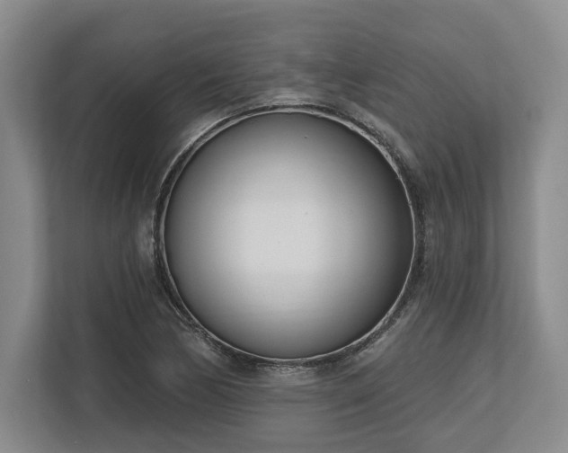X0000113741170200909231146