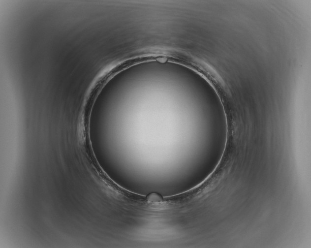 X0000113741172200909231146