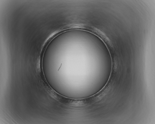X0000113741174200909231146