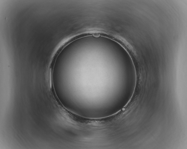 X0000113741175200909231146