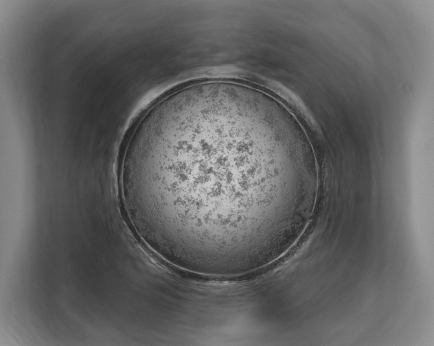 X0000113741176200909231146
