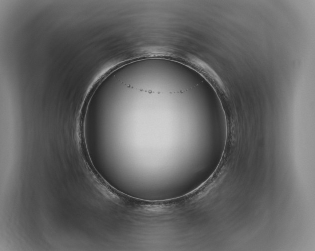 X0000113741182200909231146