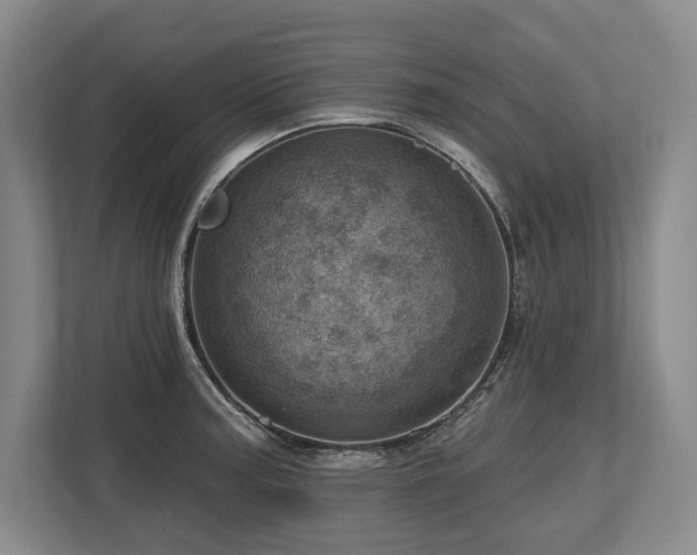 X0000113741187200909231146