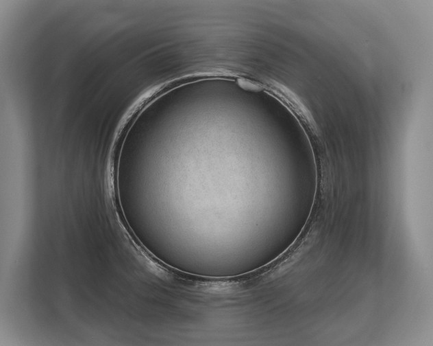 X0000113741188200909231146