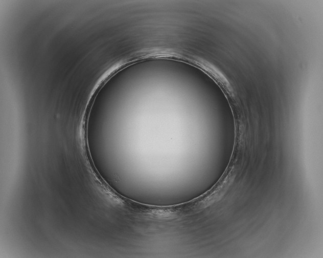 X0000113741190200909231146