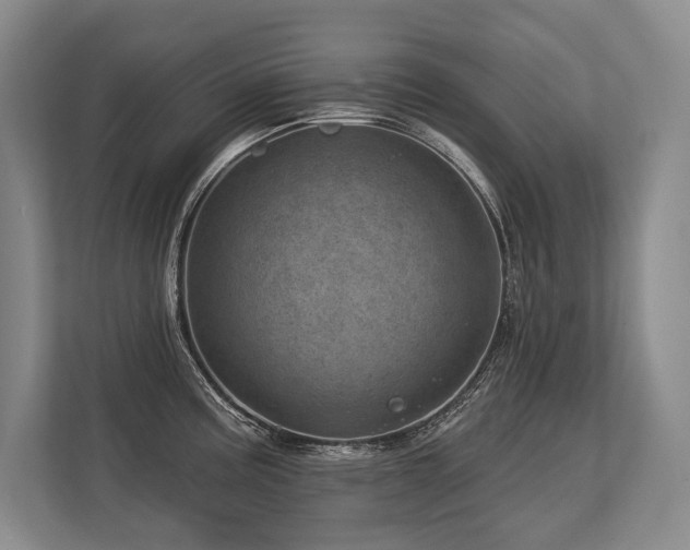 X0000113741195200909231146