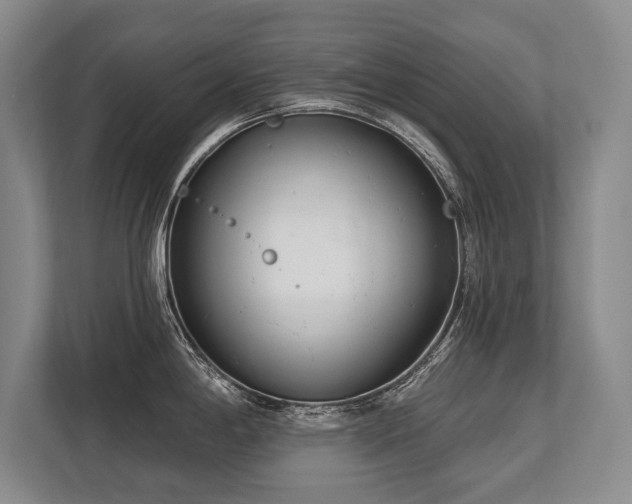 X0000113741198200909231146