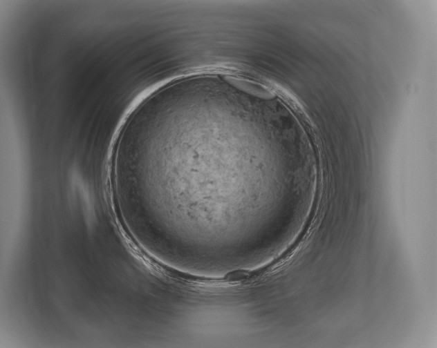 X0000113741200200909231146