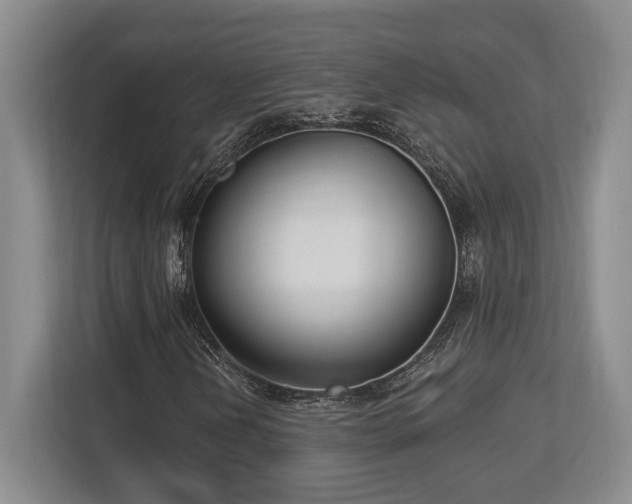 X0000113741202200909231145