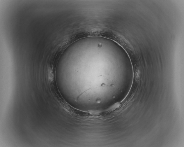 X0000113741204200909231145