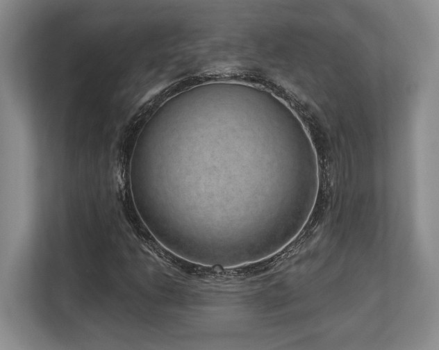 X0000113741206200909231145