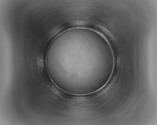 X0000113741209200909231145