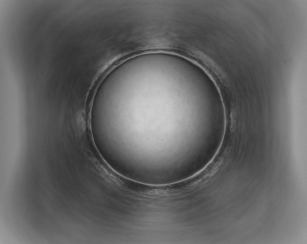 X0000113741212200909231145