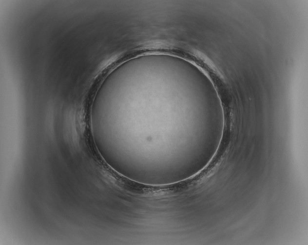 X0000113741213200909231145