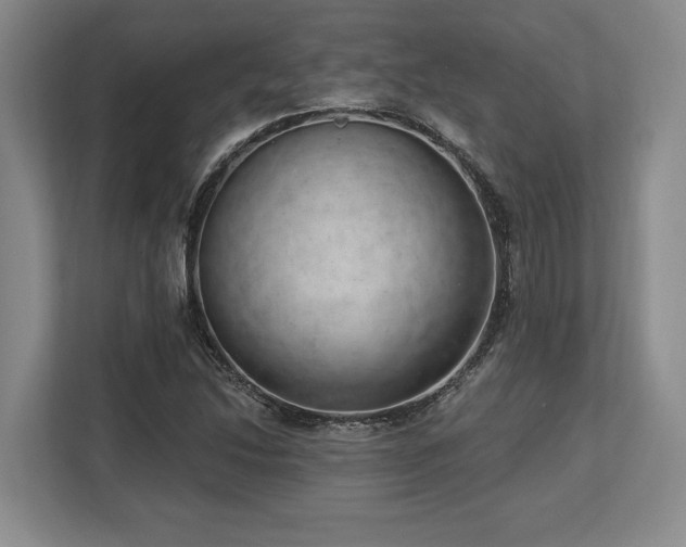X0000113741214200909231145