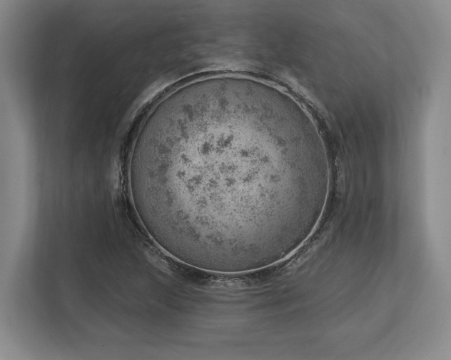 X0000113741215200909231145