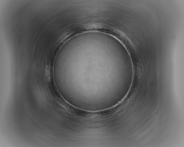 X0000113741217200909231145
