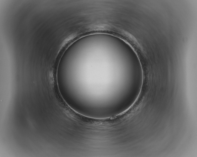 X0000113741218200909231145