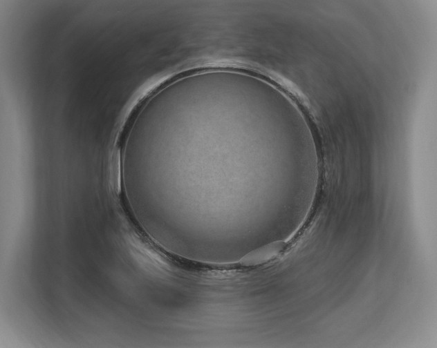 X0000113741223200909231145