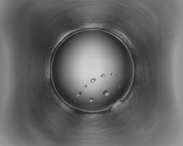 X0000113741228200909231145