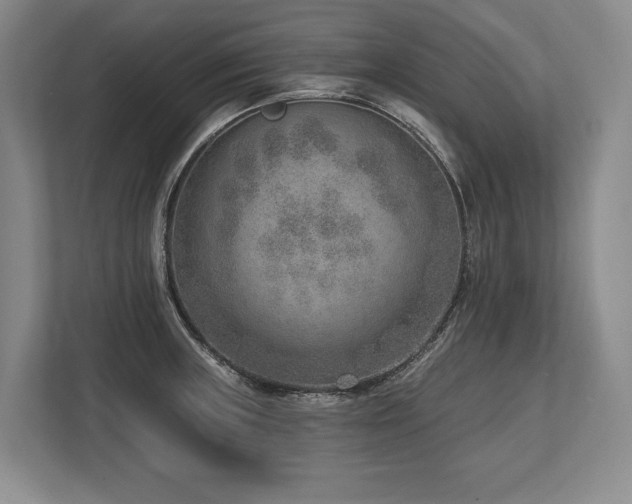 X0000113741235200909231145