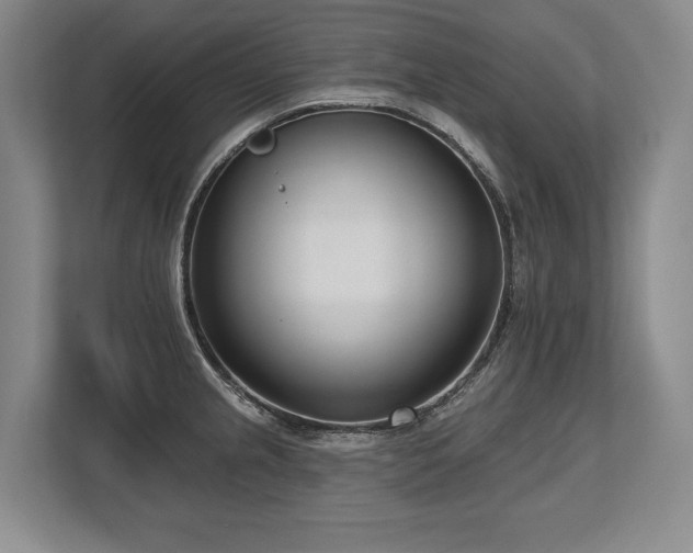 X0000113741237200909231145