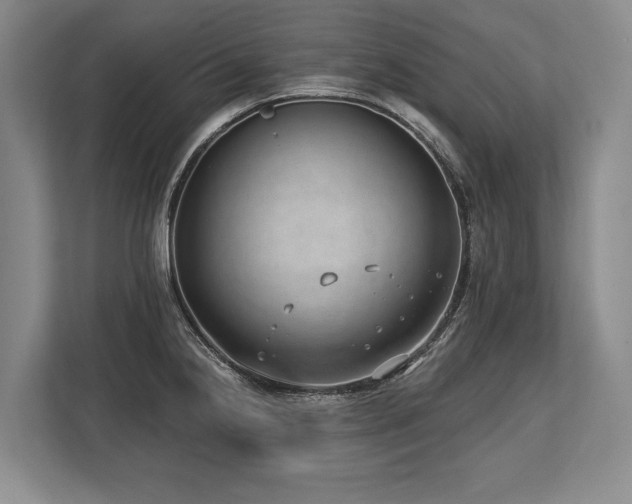 X0000113741238200909231146