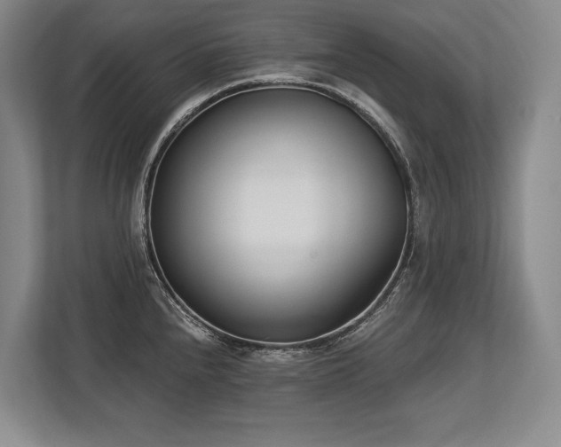 X0000113741240200909231146